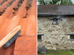 démoussage et nettoyage manuel et par drone
